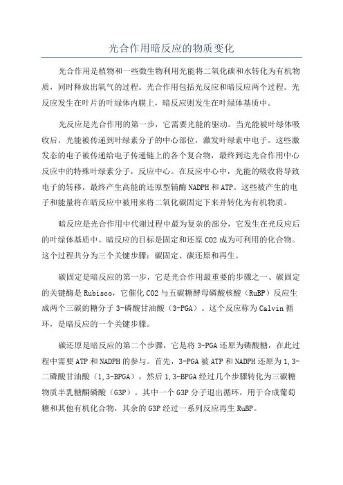 光合作用暗反应的物质变化
