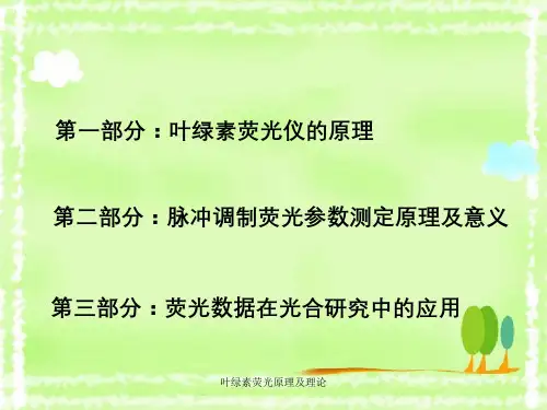 叶绿素荧光原理及理论