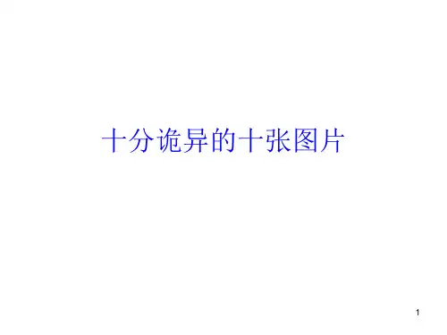 诡异图片PowerPoint PPT课件