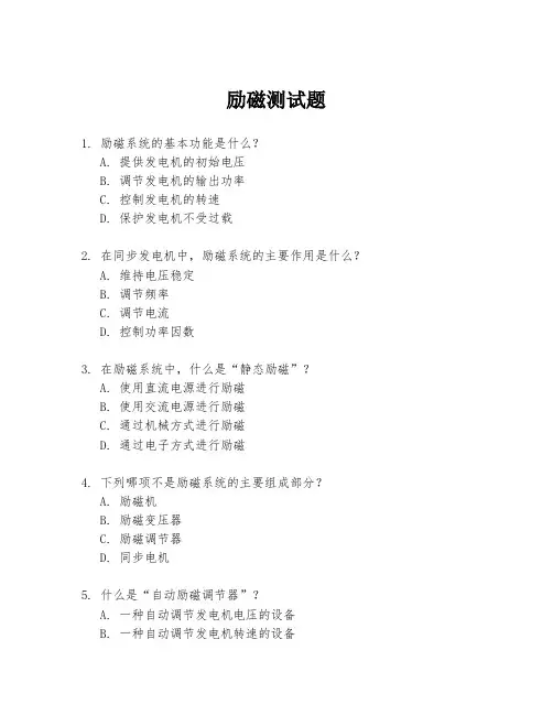 励磁测试题