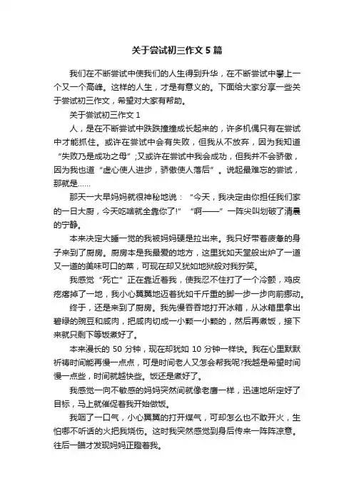 关于尝试初三作文5篇