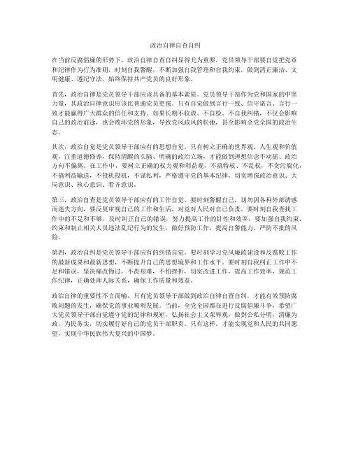 政治自律自查自纠