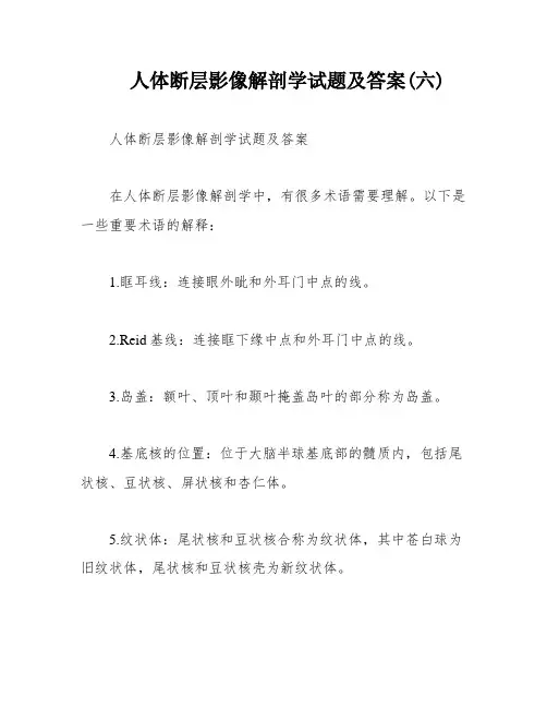 人体断层影像解剖学试题及答案(六)
