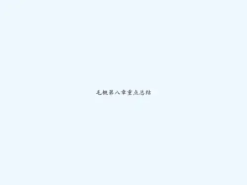 毛概第八章重点总结 PPT