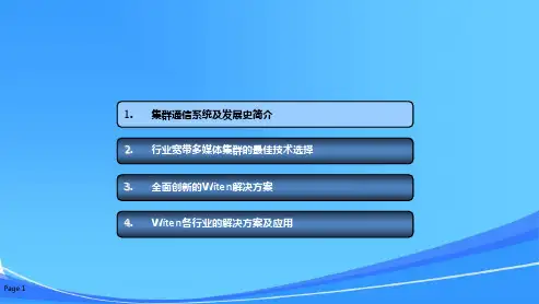 宽带多媒体数字集群系统(Witen)介绍