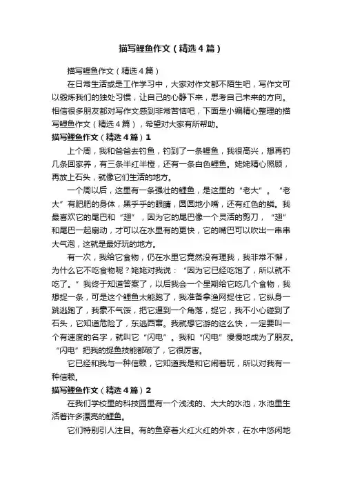 描写鲤鱼作文（精选4篇）