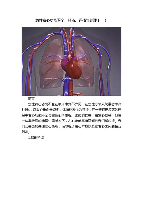 急性右心功能不全：特点、评估与处理（上）