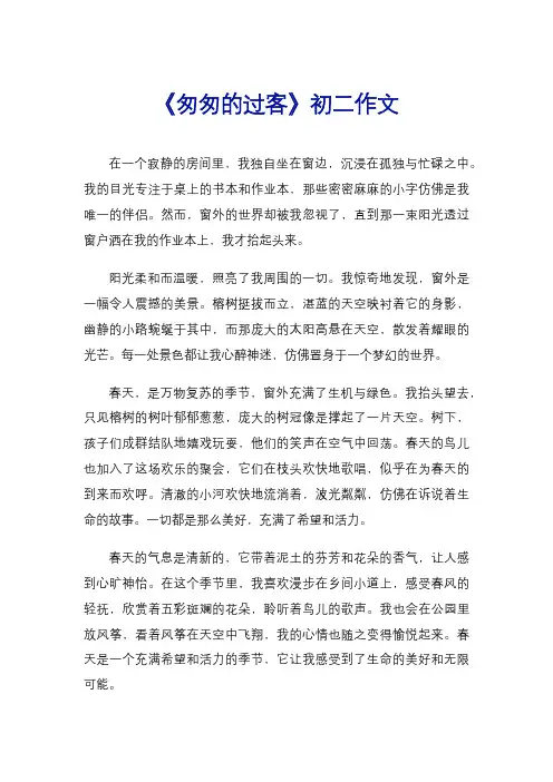 《匆匆的过客》初二作文