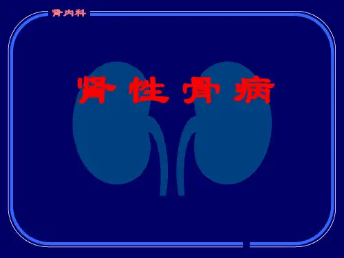 肾性骨病精品PPT课件