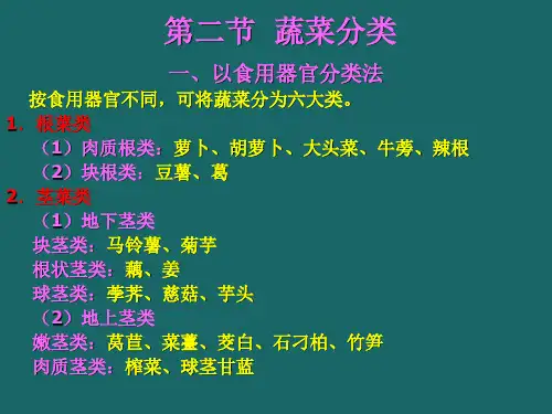 蔬菜分类.ppt