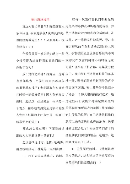 笼打斑鸠技巧