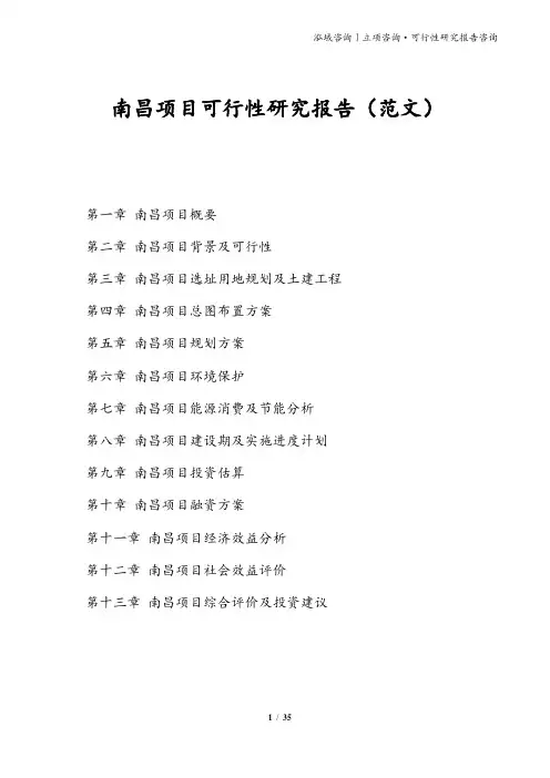 南昌项目可行性研究报告(范文)