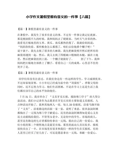 小学作文暑假里最有意义的一件事【六篇】