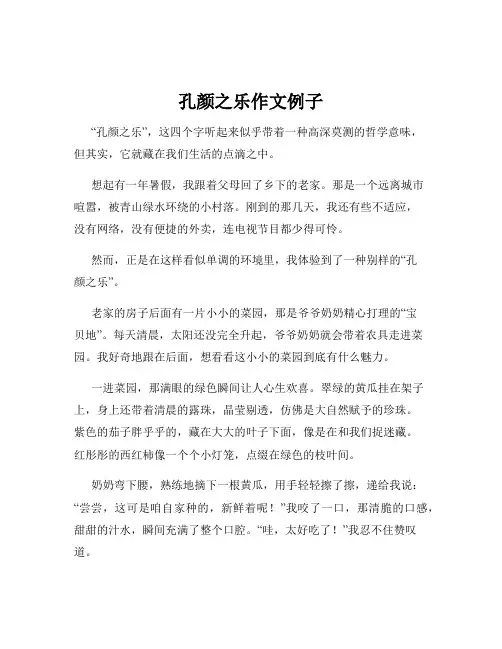 孔颜之乐作文例子