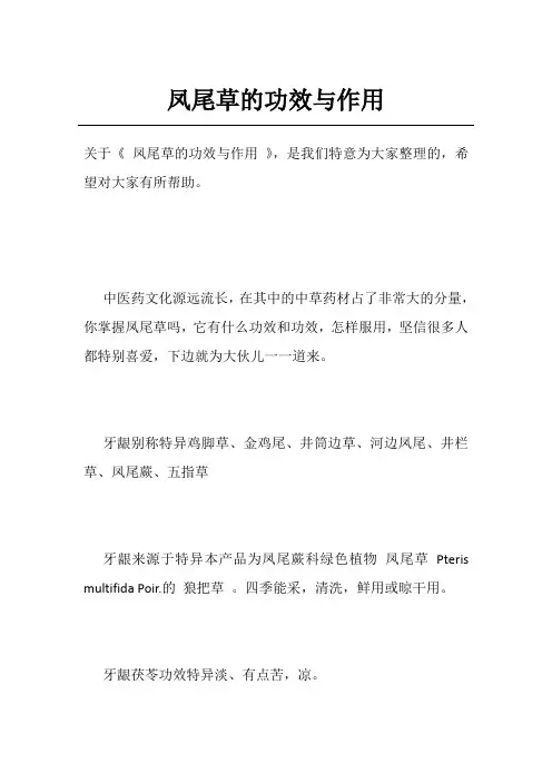 凤尾草的功效与作用