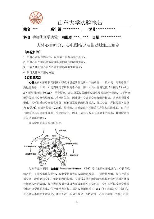 人体心音听诊、心电图描记及肱动脉血压测定-推荐下载
