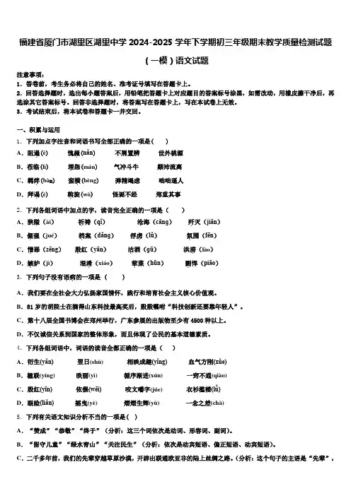 福建省厦门市湖里区湖里中学2024-2025学年下学期初三年级期末教学质量检测试题(一模)语文试题含