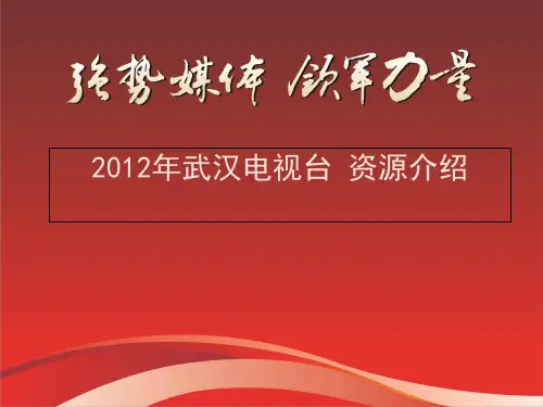 武汉电视台媒体资源介绍PPT课件