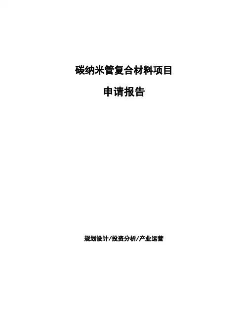 碳纳米管复合材料项目申请报告