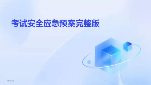 2024版年度考试安全应急预案完整版