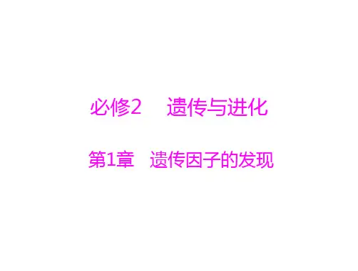 新高考生物通用版总复习一轮课件必修2第1章第1节孟德尔的豌豆杂交实验(一)