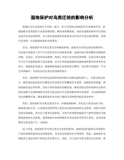 湿地保护对鸟类迁徙的影响分析