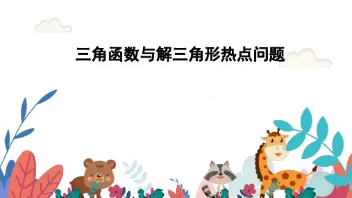 超实用高考数学专题复习：第四章三角函数解三角形  三角函数与解三角形热点问题