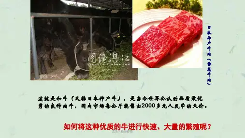 选修3 胚胎移植ppt课件