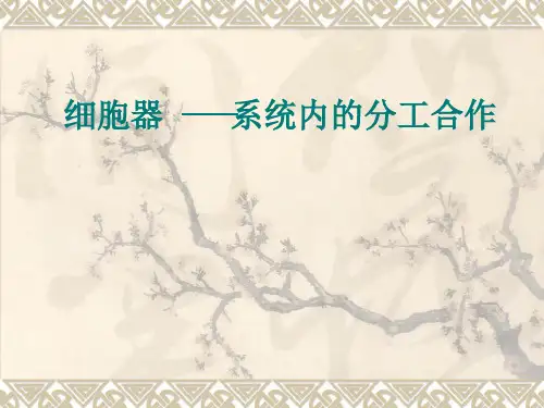 高一生物必修一：细胞器