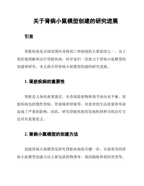关于肾病小鼠模型创建的研究进展