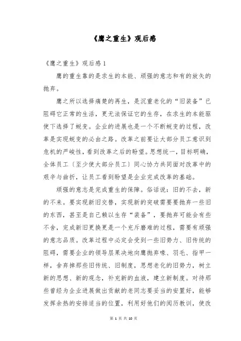 《鹰之重生》观后感