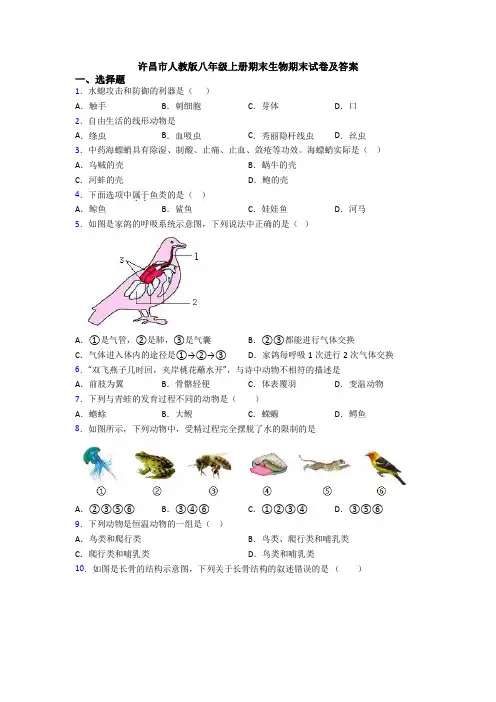 许昌市人教版八年级上册期末生物期末试卷及答案