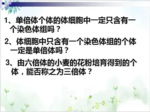 [人教版]《染色体变异》ppt课件1