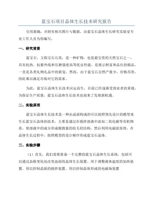 蓝宝石项目晶体生长技术研究报告