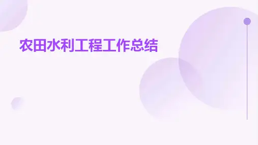 农田水利工程工作总结PPT