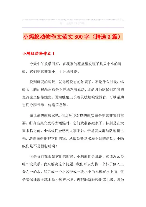 小蚂蚁动物作文范文300字(精选3篇)