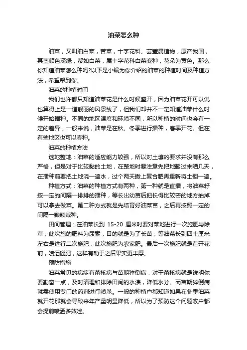 油菜怎么种
