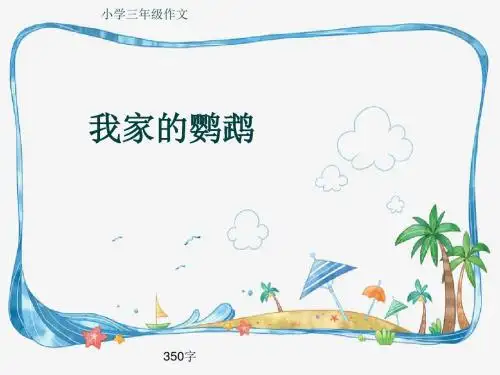 小学三年级作文《我家的鹦鹉 》350字(共6页PPT)