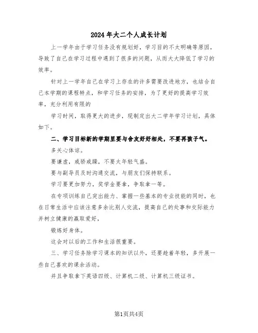 2024年大二个人成长计划（二篇）