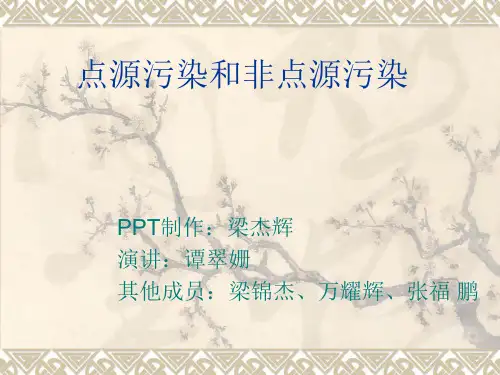 第十一组点源污染和非点源