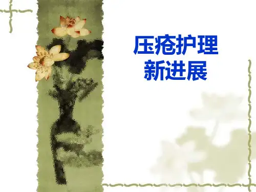 压疮护理新进展2ppt课件