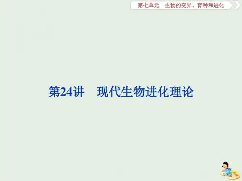 人教版高考生物大一轮复习第24讲现代生物进化理论课件