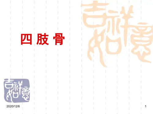 四肢骨骼-人体解剖学精品PPT优质课件