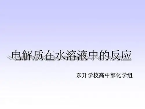电解质在水溶液中的反应