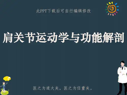 肩关节运动学与功能解剖PPT课件