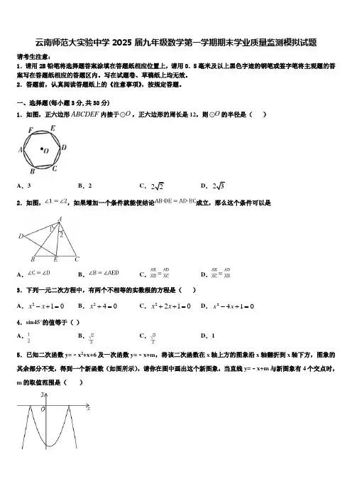 云南师范大实验中学2025届九年级数学第一学期期末学业质量监测模拟试题含解析