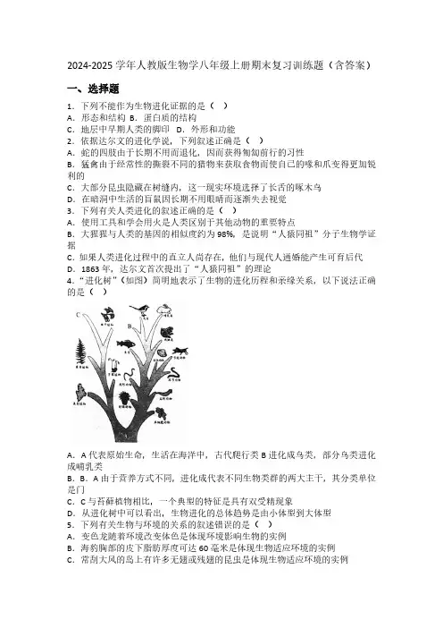 2024-2025学年人教版生物学八年级上册期末复习训练题(含答案)