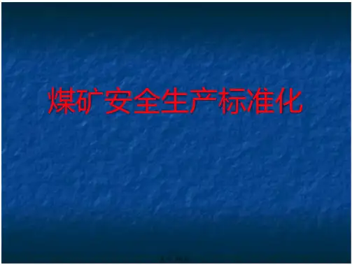 煤矿安全生产标准化2017