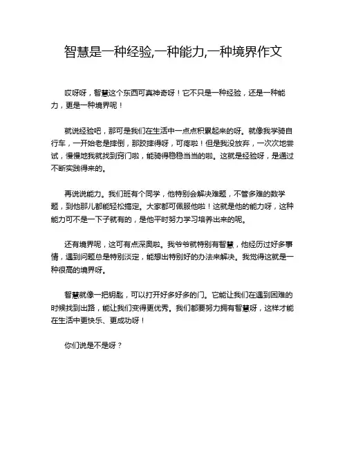 智慧是一种经验,一种能力,一种境界作文