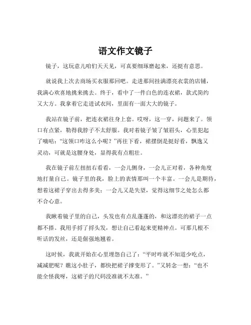 语文作文镜子